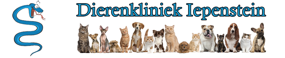 Dierenkliniek Iepenstein Joure